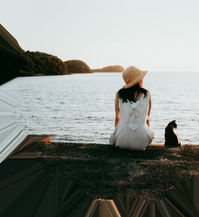 海を眺める女性と猫